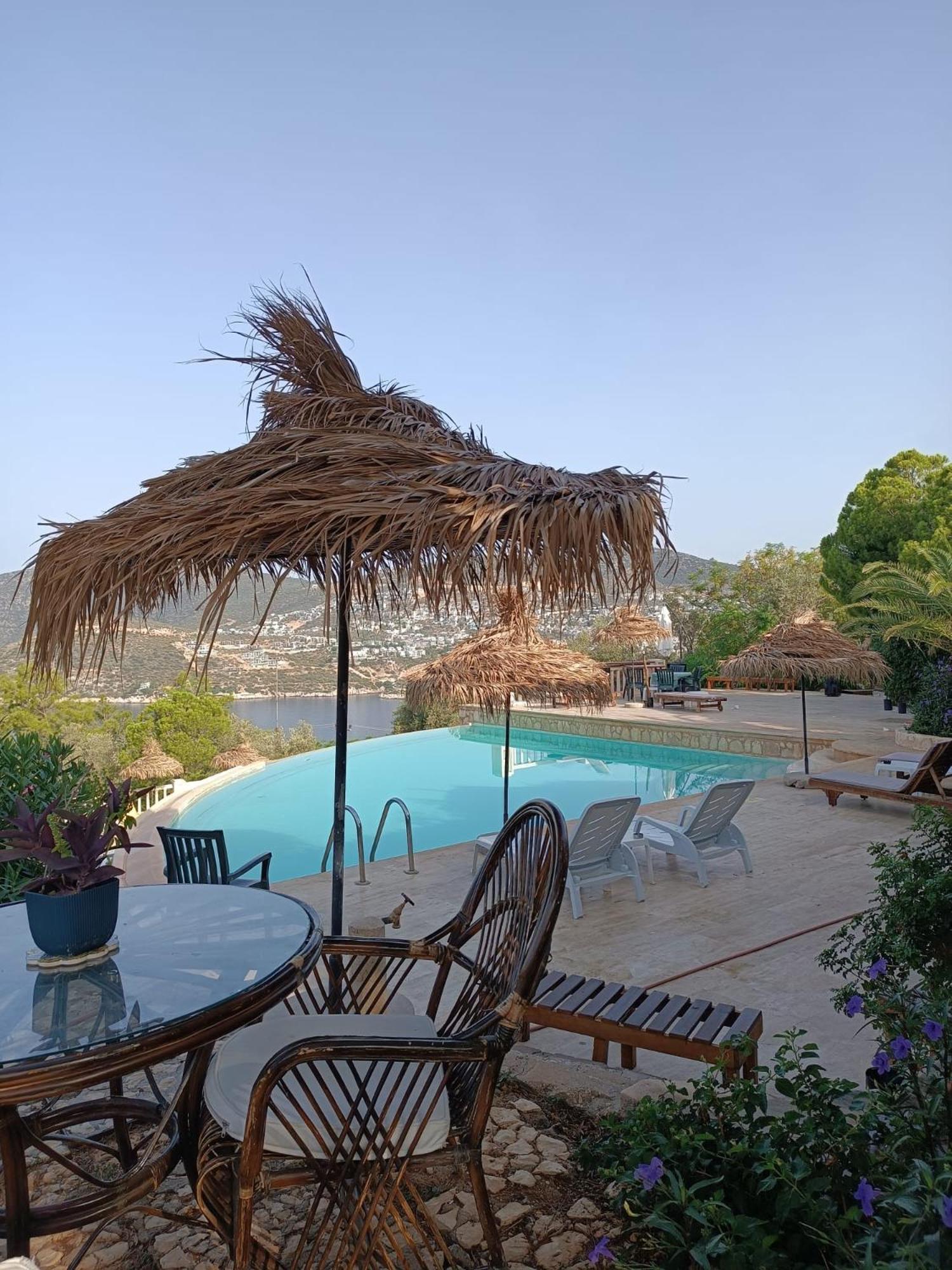 Cactus Garden Kalkan - Club Patara Villas Exteriör bild